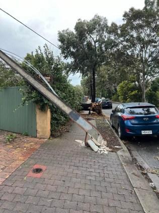 A Stobie pole was also brought down.