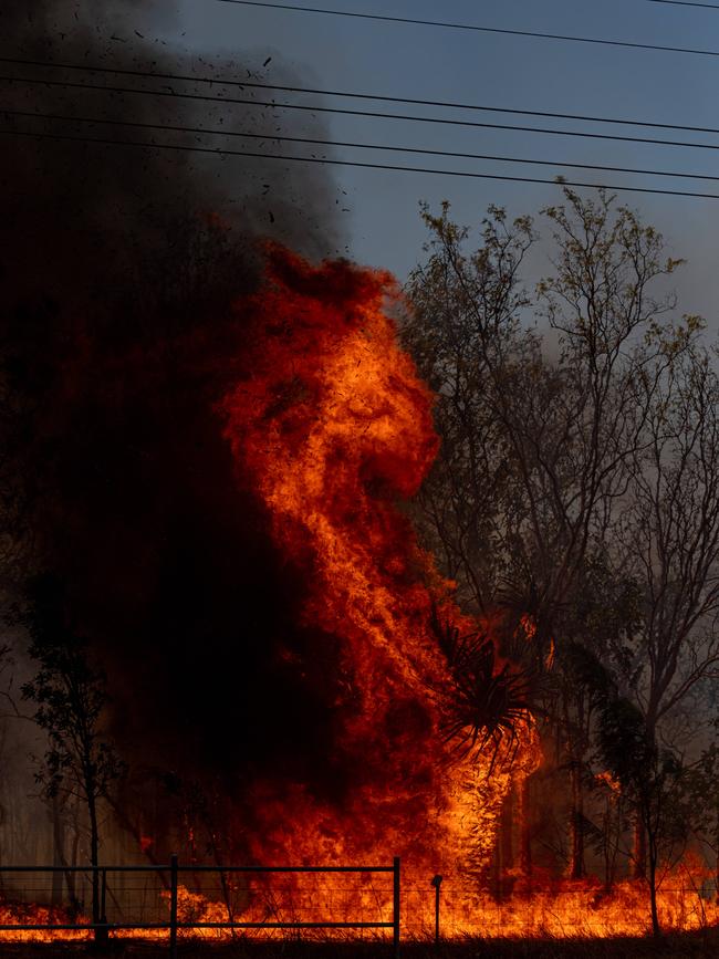 A tree goes up on Bridgemary Cres, Girraween on Monday. Explosions could be heard from the road as old cars caught alight and burned. Picture: Che Chorley