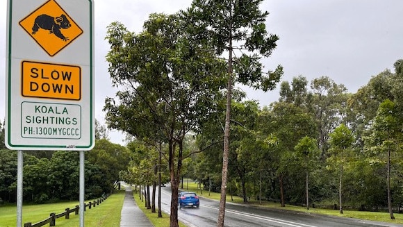 Environmental challenges for second M1 — a road leading to The Shores at Helensvale, where the Coomera Connector will be built.