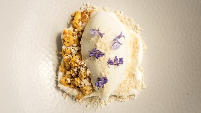 Pretty as a picture: the Shaw River buffalo milk sorbet with yoghurt and honey