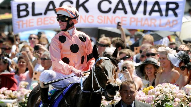 Luke Nolen and sprinting sensation Black Caviar after her 16th straight win.