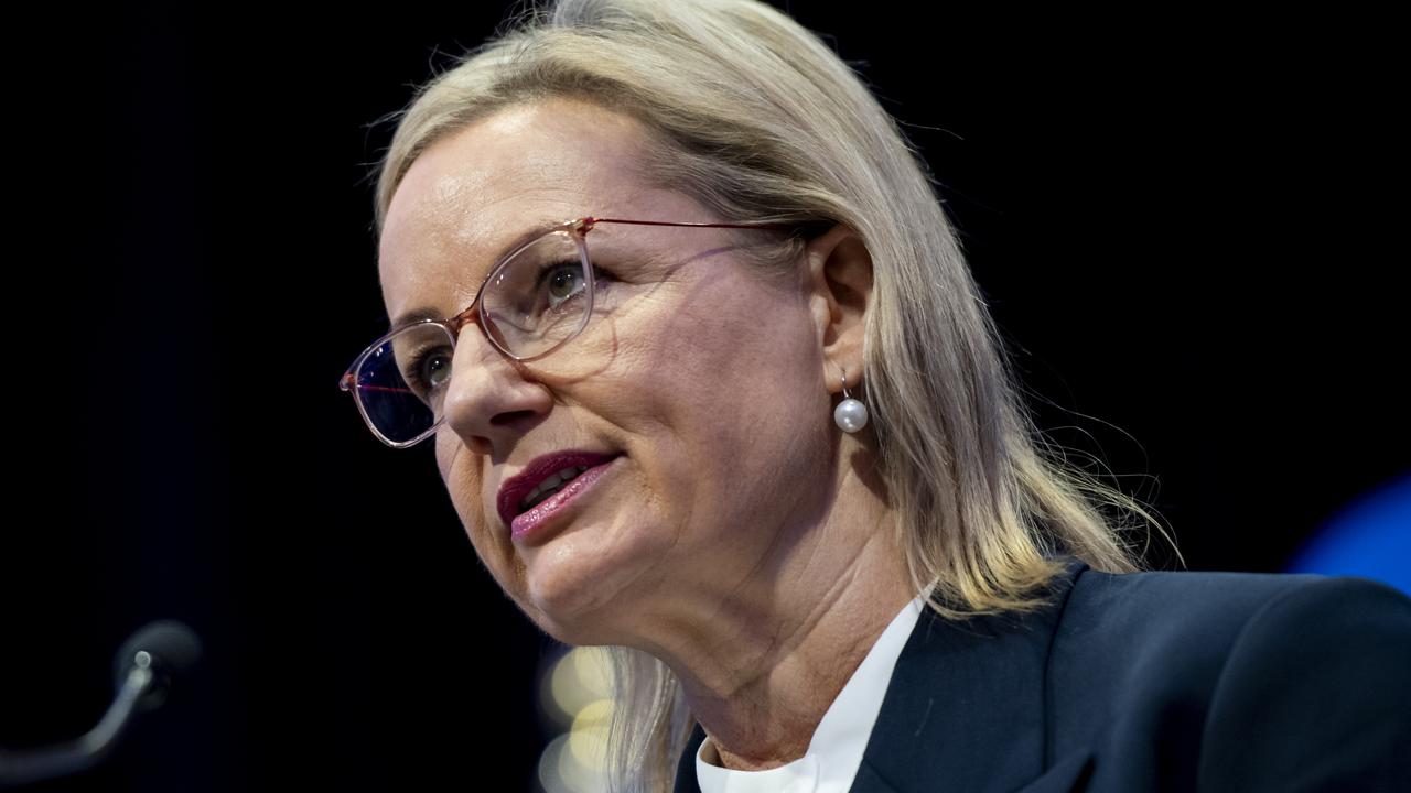 Deputy Liberal Leader Sussan Ley said while the former Coalition government also issued visitor visas for people fleeing the Taliban in Afghanistan, more security checks were performed. Picture: NewsWire/ Monique Harmer