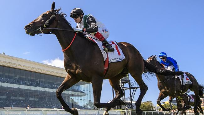 Mr Brightside (Craig Williams) wins the 2024 Futurity Stakes. He’ll be back at Caulfield on Saturday to defend his title. Picture: Vince Caligiuri / Getty Images