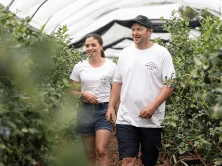 Victorian farmer pushing new boundaries after grant