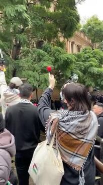 Pro Palestine protesters outside the Labor conference at Town Hall