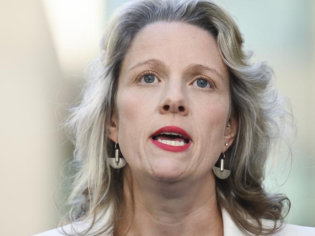 CANBERRA, AUSTRALIA, NewsWire Photos. MARCH 27, 2024: Minister For Home Affairs, Clare O'neil and Minister For Immigration, Citizenship And Multicultural Affairs, Andrew Giles hold a press conference at Parliament House in Canberra. Picture: NCA NewsWire / Martin Ollman