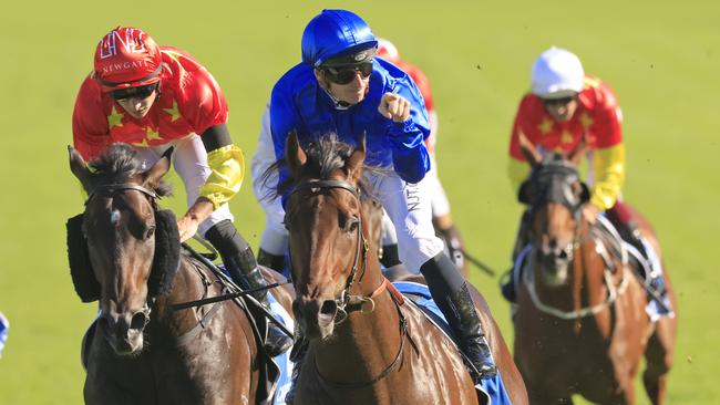 Star colt Anamoe can bounce back from his Expressway defeat and claim the Hobartville Stakes. Picture: Getty Images
