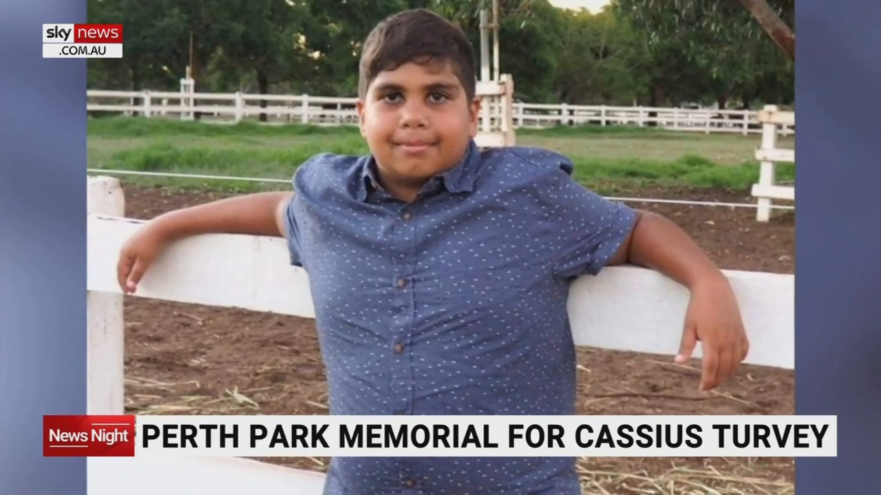 Cassius Turvey memorial created at a Perth park