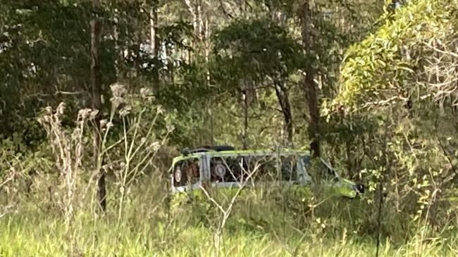 A man has been flown from Cooran after being struck by a falling tree.
