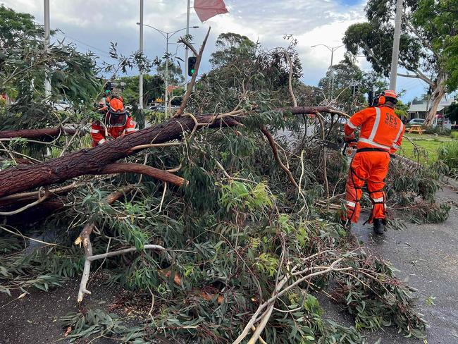 Monash SES crews remove a large tree during the February 2024 storms. Picture: Victoria State Emergency Service