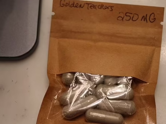 Golden teachers is a term often used to refer to magic mushrooms. Picture: US Department of Justice