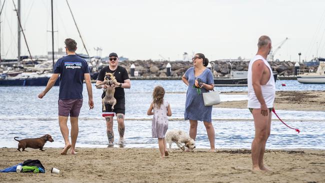 People walk their dogs at St. Kilda dog beach at 9am this morning. Picture: Jake Nowakowski