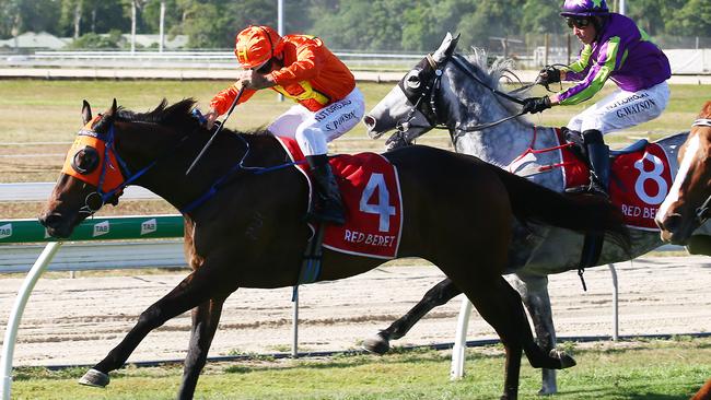 Deigo Bay, ridden by Shane Pawsey, is pictured winning wins the Class 1 Handicap at the Cairns Jockey Club Christmas party race day, held at Cannon Park on December 23, 2019. PICTURE: BRENDAN RADKE