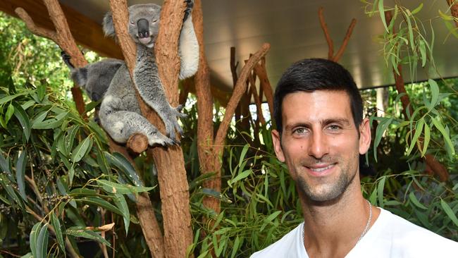 Novak Djokovic says he loves spending time with animals.