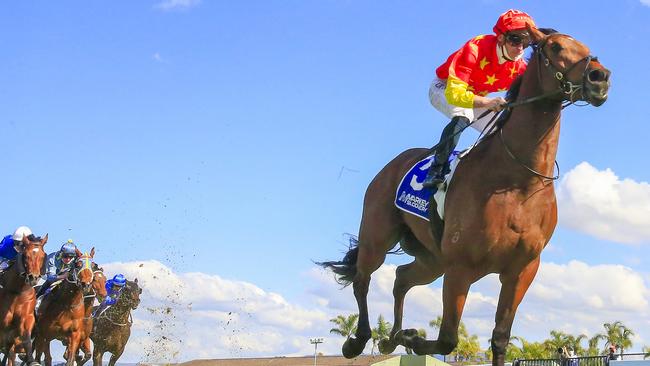 King Of Sparta can resume with a win in the Listed Gosford Guineas. Picture: Getty Images