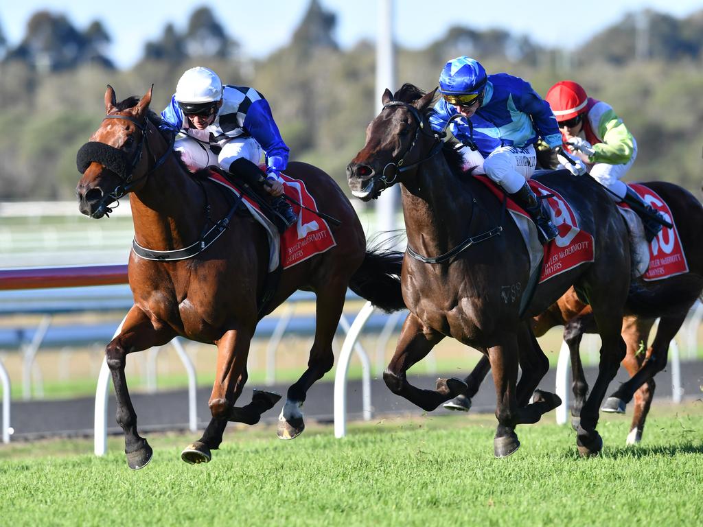 Qld racing | Horse Racing News and Thoroughbreds | Daily Telegraph