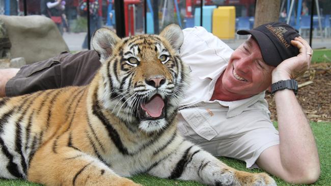 Dreamworld senior tiger handler Simon Murray