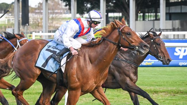 Stanley Express surges to victory in the VOBIS Platinum Showdown at Caulfield on Saturday. Picture: Reg Ryan/Racing Photos via Getty Images