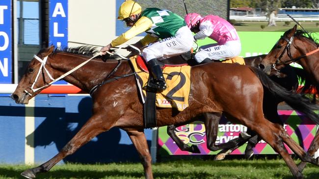 Onemore Sapphire is looking to make it two wins in-a-row at Wyong on Wednesday. Picture: Bruce Thomas/News Regional Media