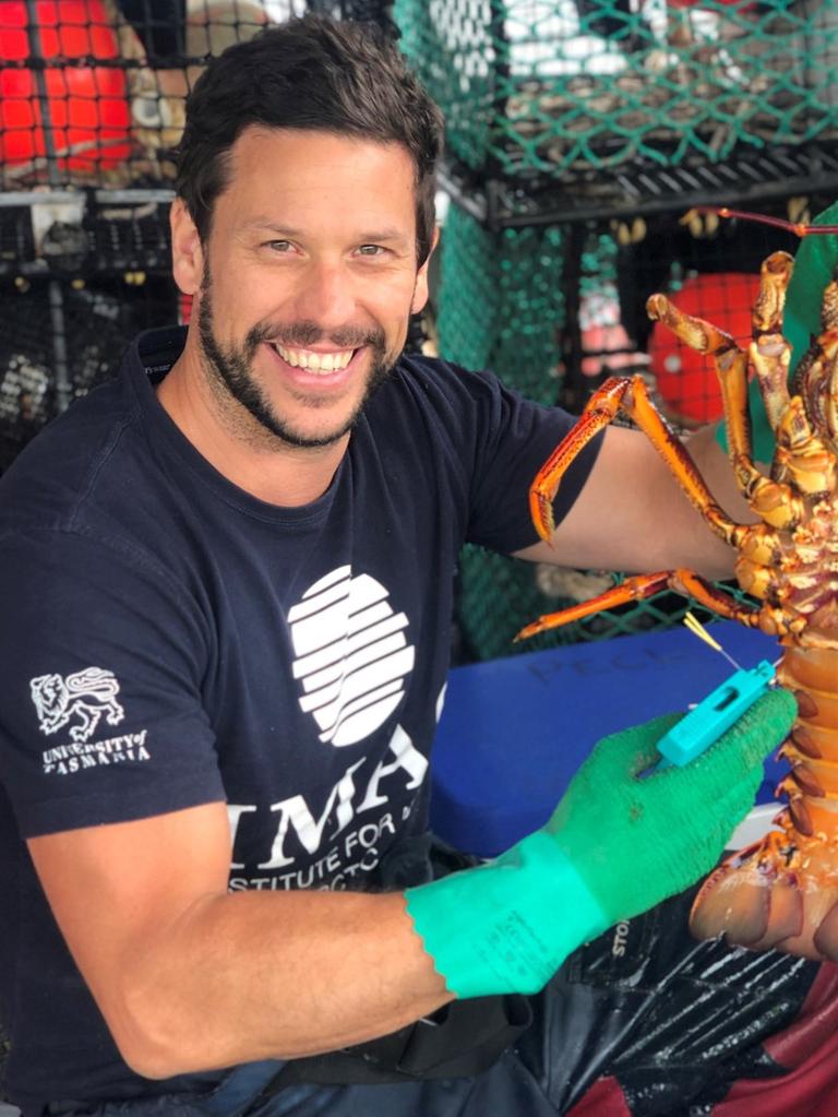 University of Tasmania's Institute of Marine and Antarctic Studies Associate Professor Scott Ling. Photo: Supplied/Jennie Smith