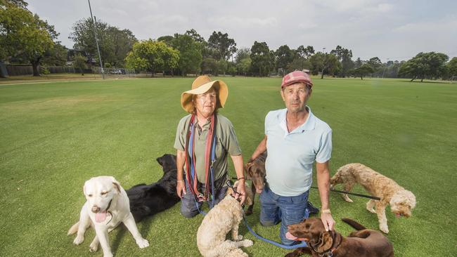 Geoff Gill and Anna Lindars with their dogs at Sir Zelman Cowen Park in Kooyong. Picture: Rob Leeson