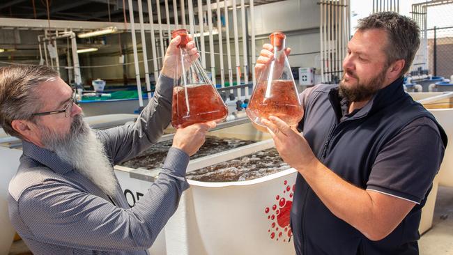 CH4 Australia general manager Adam Main (right) and CH4 Global chief executive Steve Meller at their asparagopsis seaweed production facility in South Australia. Picture: Serena Findlay