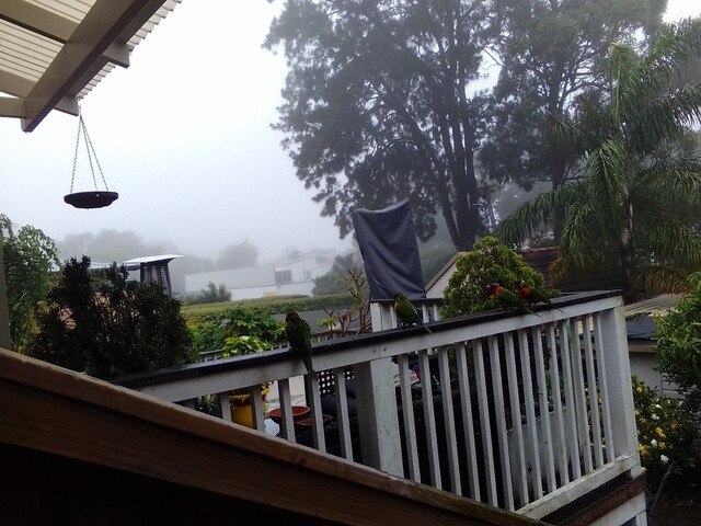 Storms have ravaged the eastern coast of Australia. Picture: Supplied