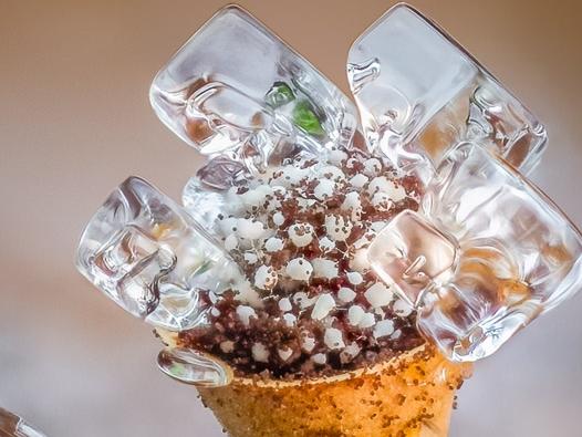 EMBARGOED UNTIL 11:01 AEST 02/02/24 // International Garden Photographer of the Year winners // Pictured: Icy Craterium Beaconsfield, Buckinghamshire, England, United Kingdom This 1 mm tall Craterium minutum slime mould was found on decaying vegetation, at the edge of a compost heap in my garden, captured following a hard frost. I was surprised to see the unusually cube-shaped ice formations on the fruiting body of this slime mould. This shot is comprised of 87 focus bracketed images, focus stacked together. // CREDIT: Barry Webb/IGPOTY // SPEAK TO OLIVIA HARRIS FOR USAGE