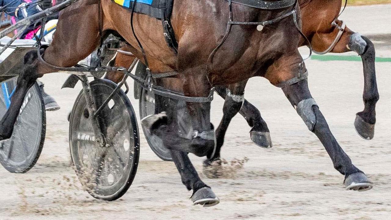 Complaint made into handling of harness race-fixing probe: Nathan