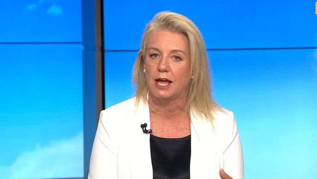 Bridget McKenzie said Labor was not tough enough in its last two budgets. Photo: Channel 9
