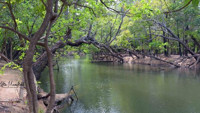 Kennedy Bend camping area in Lakefield National Park near where Kevin Darmody was taken. Picture: Supplied