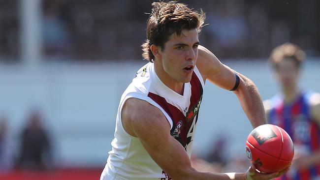 Finn Maginness in action for the Sandringham Dragons. Picture: Getty Images