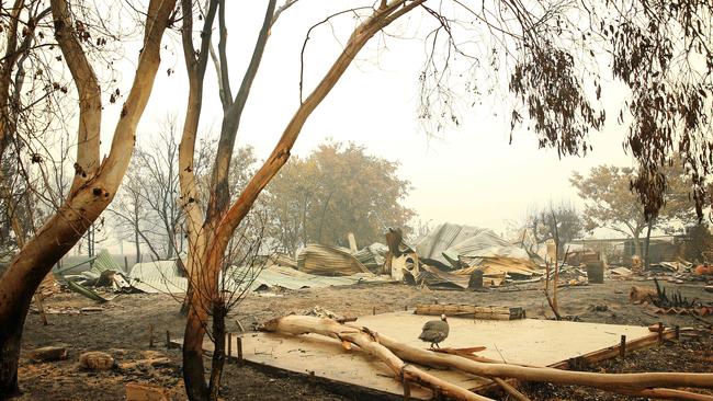 Nothing remains of this house in East Gippsland. Picture: Mark Stewart