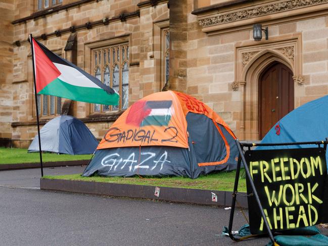 The pro-Palestine encampment on the lawn of Sydney University in June. Picture: Max Mason-Hubers