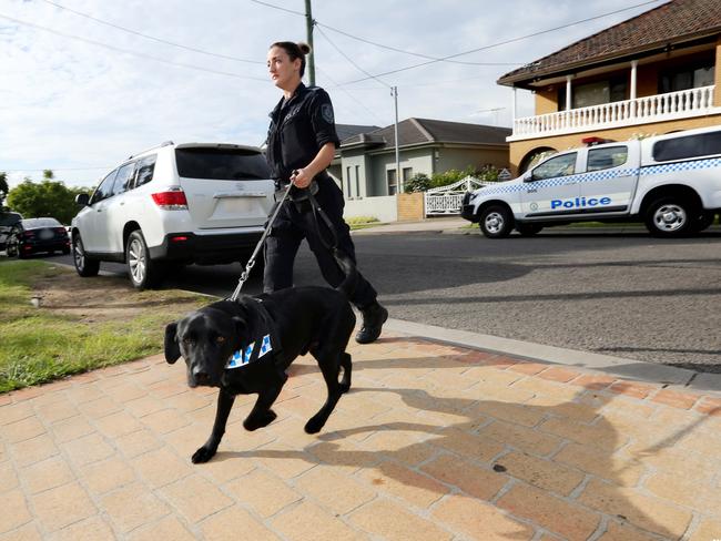 A police dog searches a Merrylands property as part of an operation that took down a dial-a-dealer ring last year.