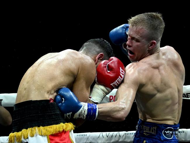 Action from the Liam Wilson v Youssef Dib bout in Brisbane. Picture: Scott Davis / Ace Boxing