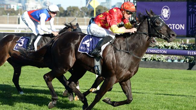 Gold Bullion won the Victoria Derby Preview with Blake Shinn aboard. Picture: Ross Holburt–Racing Photos via Getty Images