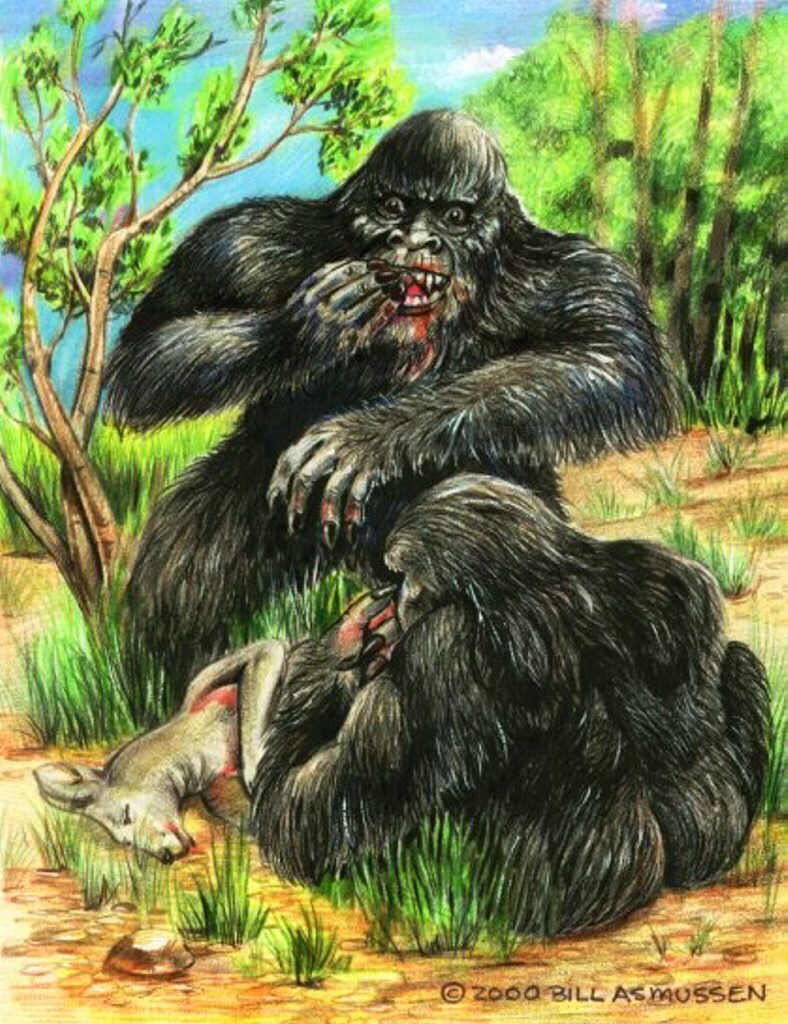 The Yowie remains an elusive creature in the Ipswich region. Illustrations by Bill Rasmussen. Picture: Contributed