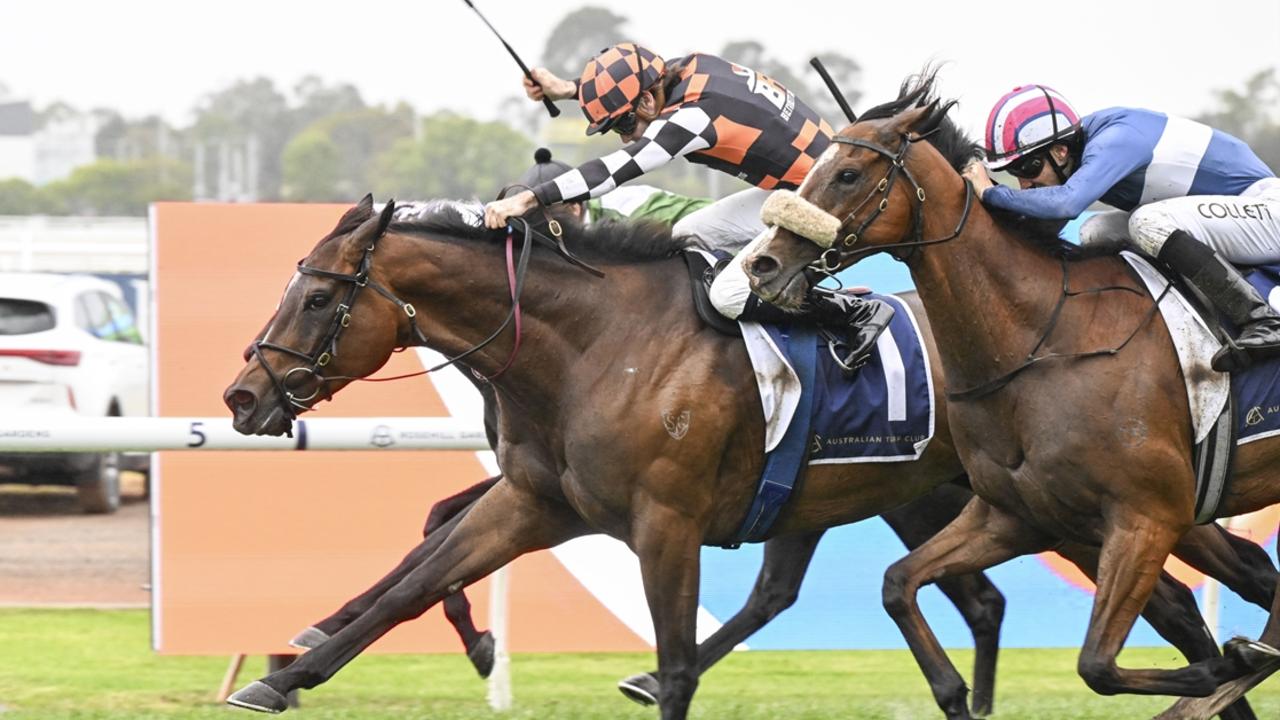 Tyler Schiller drives Fawkner Park to victory in the Rosehill Gold Cup. Picture: Bradley Photos