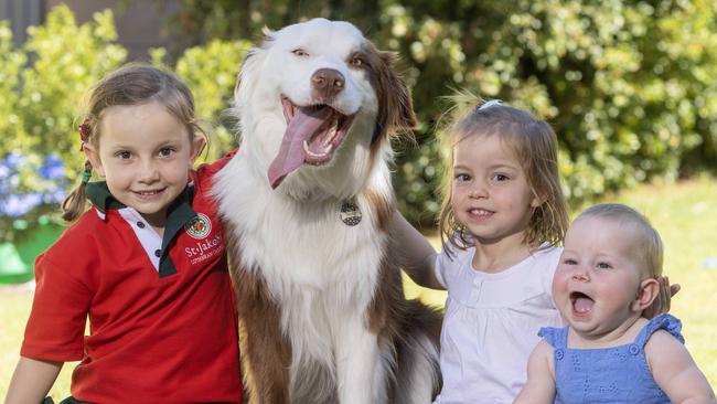 30,January, 2024: Maizey (5), Dottie (3) and Aubrey (8 months) with "Dusty" the border collie. Picture: Kelly Barnes