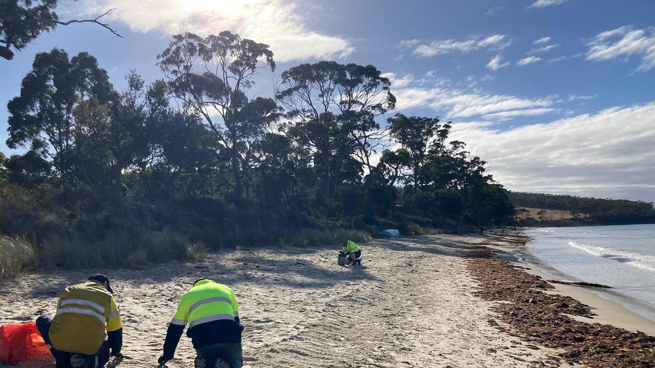 Huon team members responding to queries at Verona Sands beach. Picture: Huon