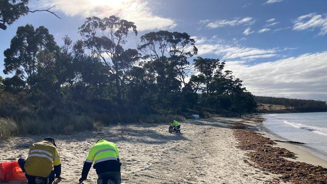 Huon team members responding to queries at Verona Sands beach. Picture: Huon