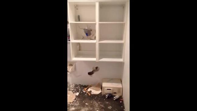 Schoolies trash Gold Coast apartment