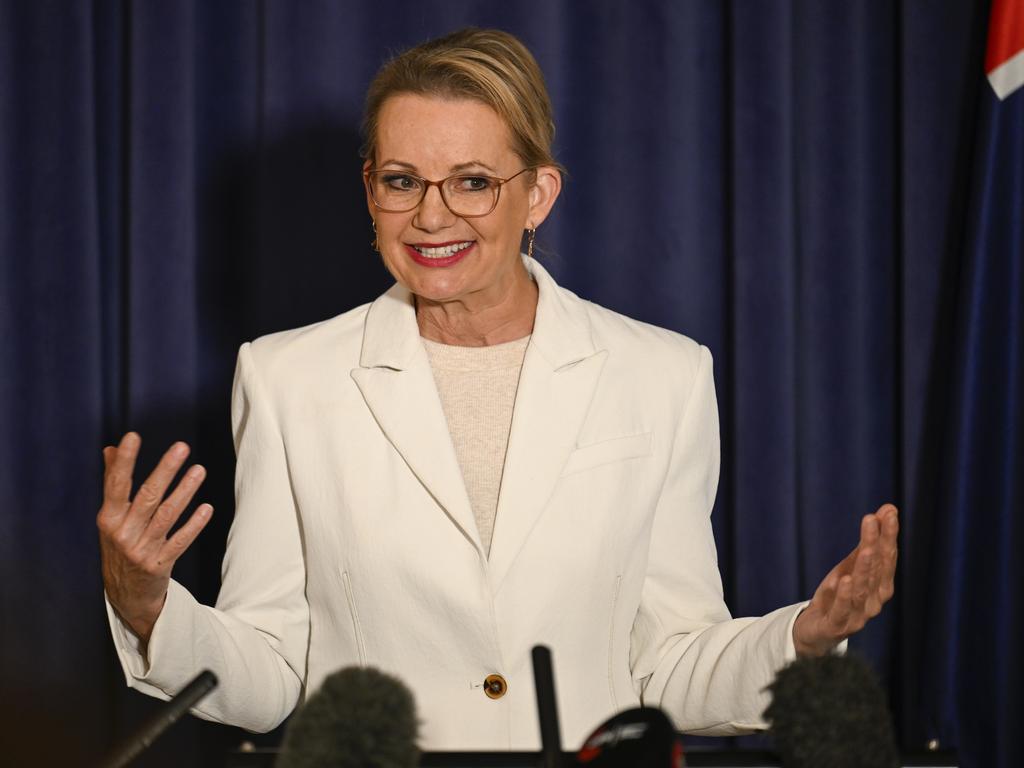 New Opposition leader Sussan Ley holds a press conference at Parliament House in Canberra on May 20. Picture: NewsWire/Martin Ollman