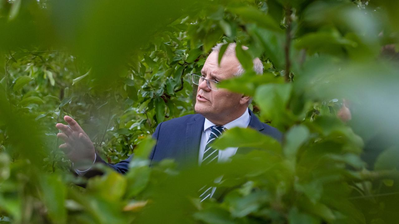 Scott Morrison tours Punt Road Winery in the Yarra Valley, in the WA electorate of Casey, to announce funding for small and medium wine producers to find new markets. Picture: Jason Edwards