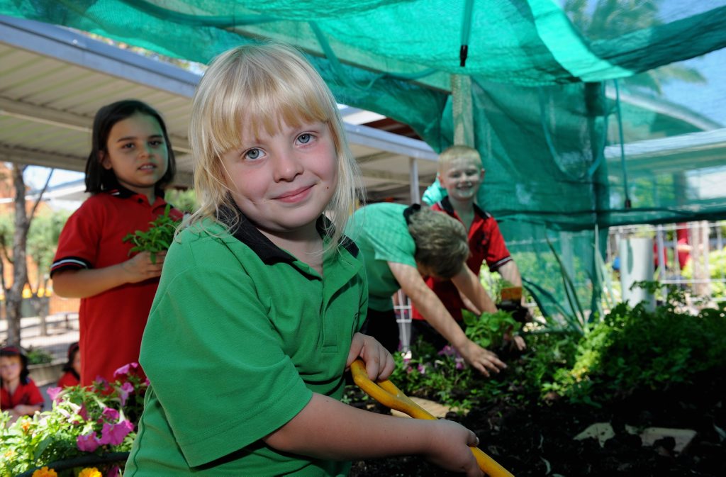 Prep kids’ growing interest in gardening | The Courier Mail