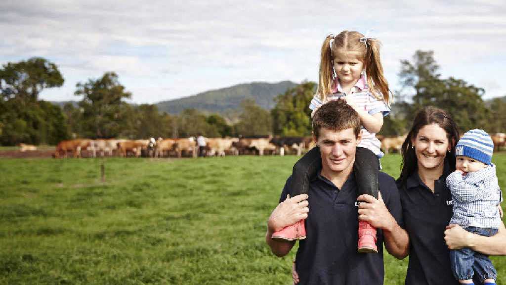 Dairy life suits Kenilworth family just fine The Courier Mail