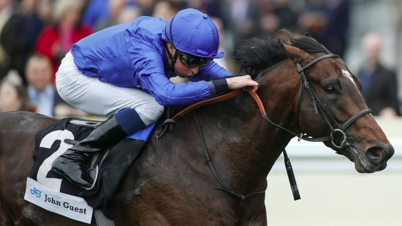 Darley stallion Blue Point, the only three-time Group 1 sprint winner at Royal Ascot