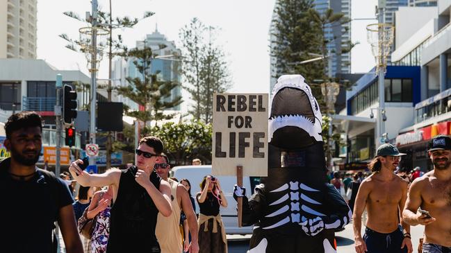 Extinction Rebelllion protesters gathered on the Gold Coast last Saturday calling on the government to act on climate change. Pic. Sabine Bannard