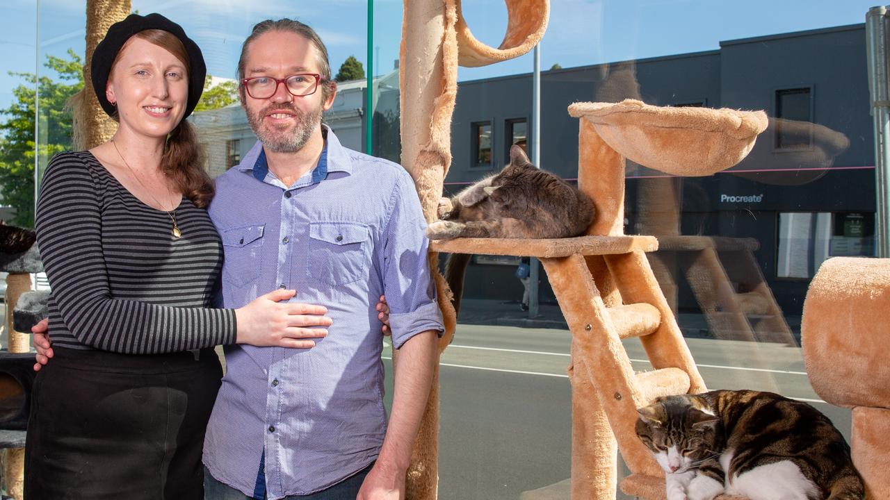 Cat Cafe Owners, Adam and Sarah Honeyman at the Cat Cafe on Elizabeth street, which is closing down. Picture: Linda Higginson